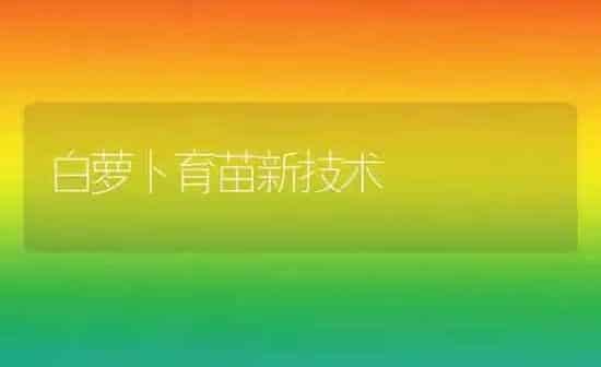 白萝卜育苗新技术 | 蔬菜种植
