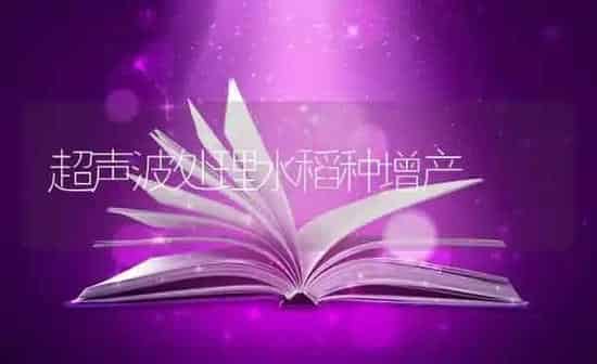 超声波处理水稻种增产 | 粮油作物种植