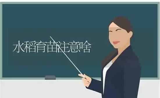 水稻育苗注意啥 | 粮油作物种植