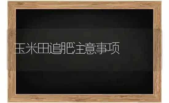 玉米田追肥注意事项 | 粮油作物种植