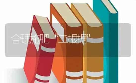 合理施肥“三根据” | 种植肥料施肥