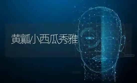 黄瓤小西瓜秀雅 | 瓜果种植