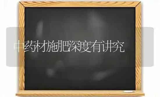 中药材施肥深度有讲究 | 药材种植