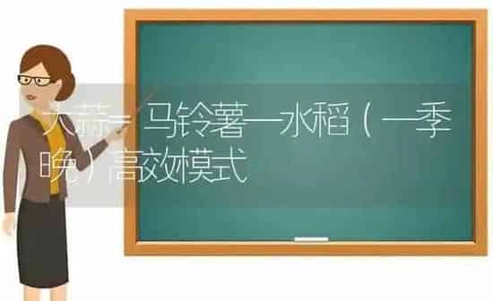 大蒜=马铃薯—水稻（一季晚）高效模式 | 粮油作物种植