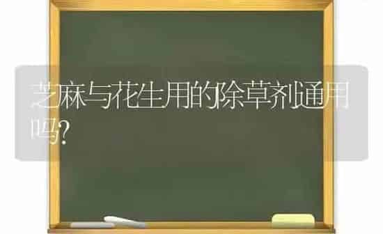 芝麻与花生用的除草剂通用吗？ | 粮油作物种植