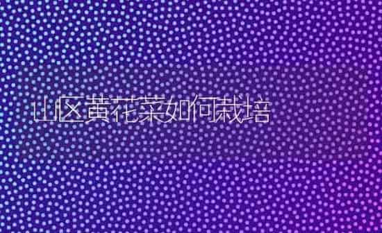 山区黄花菜如何栽培 | 蔬菜种植