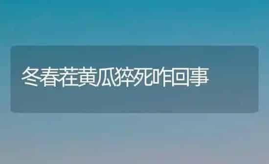 冬春茬黄瓜猝死咋回事 | 蔬菜种植