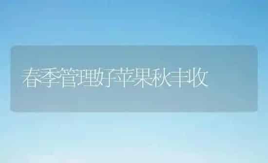 春季管理好苹果秋丰收 | 瓜果种植