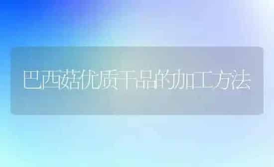 巴西菇优质干品的加工方法 | 食用菌种植