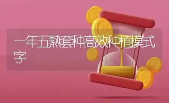 一年五熟套种高效种植模式字 | 植物种植百科