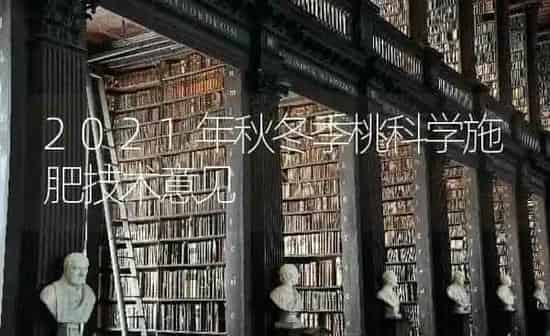 2021年秋冬季桃科学施肥技术意见 | 种植肥料施肥