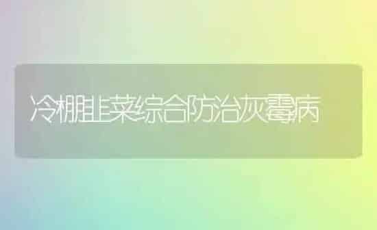 冷棚韭菜综合防治灰霉病 | 蔬菜种植