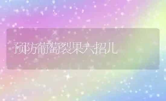 苹果醋的酿造技术 | 瓜果种植