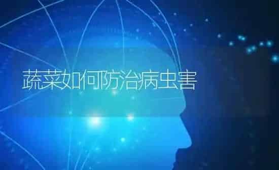 蔬菜如何防治病虫害 | 蔬菜种植