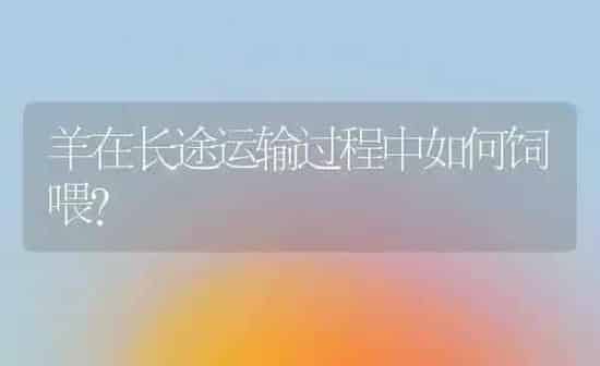 避免萝卜糠心有办法 | 蔬菜种植