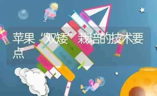 苹果“双矮”栽培的技术要点 | 瓜果种植