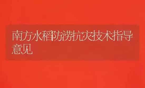 南方水稻防涝抗灾技术指导意见 | 粮油作物种植