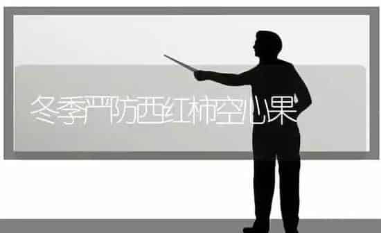 冬季严防西红柿空心果 | 瓜果种植