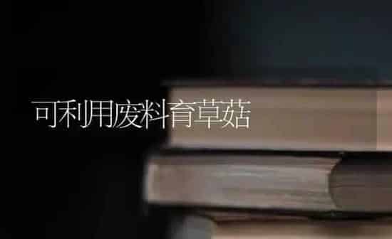 可利用废料育草菇 | 食用菌种植