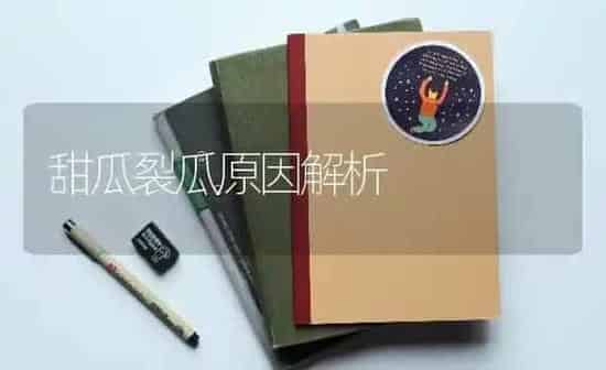 甜瓜裂瓜原因解析 | 瓜果种植