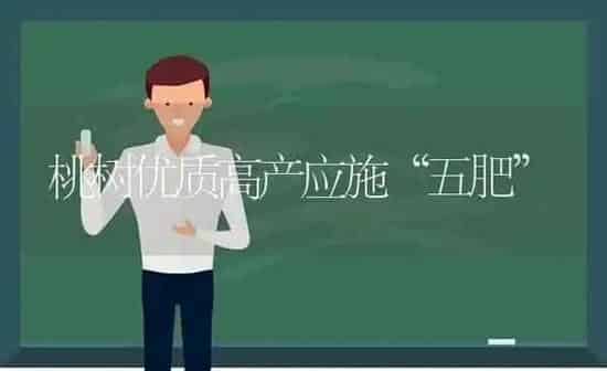 桃树优质高产应施“五肥” | 瓜果种植
