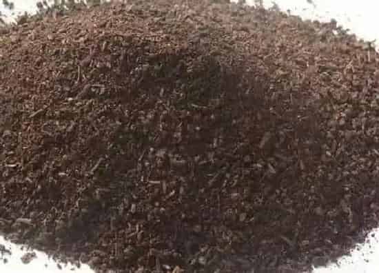 植物施肥|月季用什么肥料好