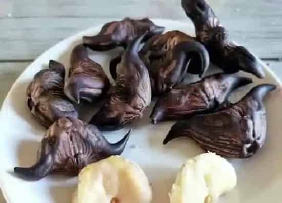 果实成熟|菱角什么时候上市 成熟收获时间