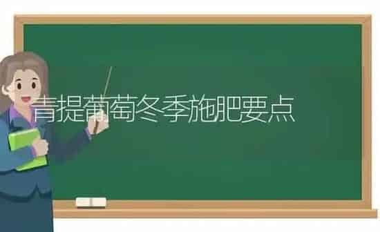 青提葡萄冬季施肥要点 | 种植肥料施肥
