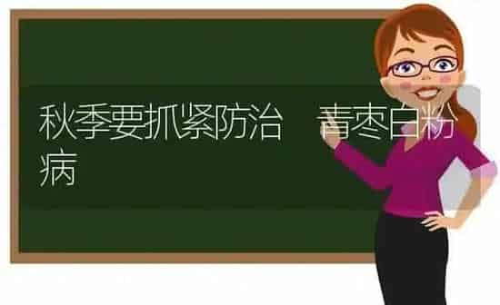 秋季要抓紧防治 青枣白粉病 | 瓜果种植