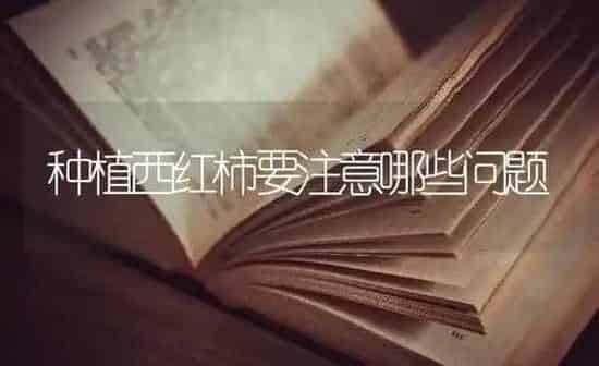 不同类型小麦播种温度要求 | 粮油作物种植