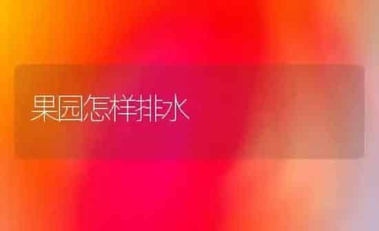 果园怎样排水 | 瓜果种植