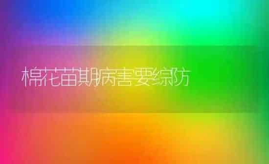 棉花苗期病害要综防 | 粮油作物种植