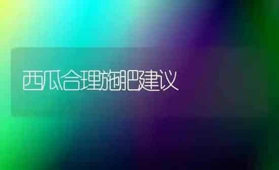 西瓜合理施肥建议 | 种植肥料施肥
