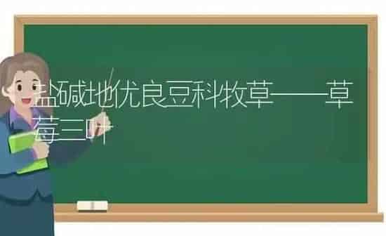 盐碱地优良豆科牧草——草莓三叶 | 瓜果种植