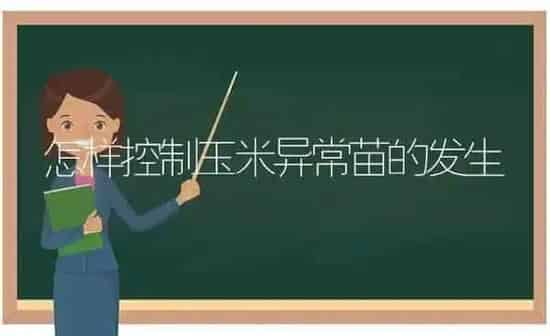 怎样控制玉米异常苗的发生 | 粮油作物种植