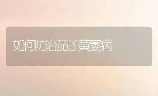 如何防治茄子黄萎病 | 蔬菜种植
