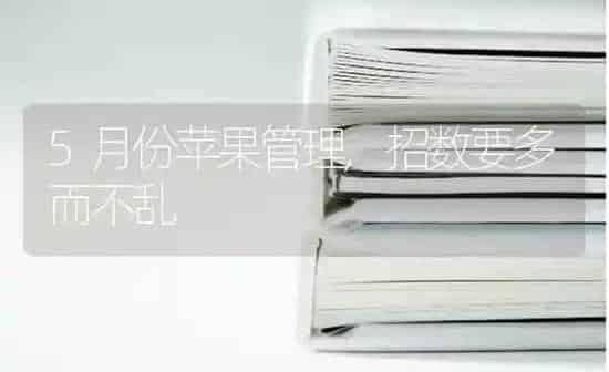 5月份苹果管理,招数要多而不乱 | 瓜果种植