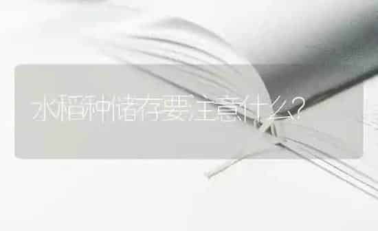 水稻种储存要注意什么？ | 粮油作物种植