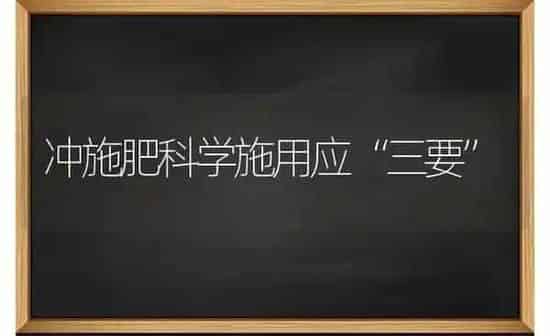 冲施肥科学施用应“三要” | 种植肥料施肥