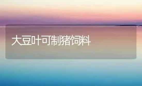 大豆叶可制猪饲料 | 粮油作物种植