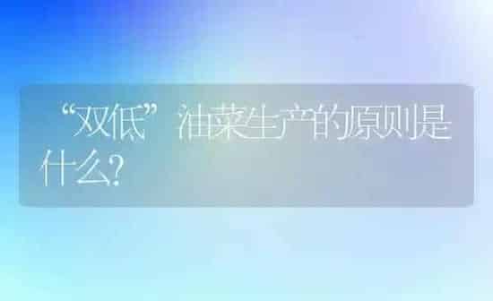 “双低”油菜生产的原则是什么？ | 粮油作物种植