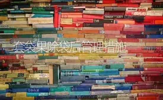套袋果除袋后管理措施 | 瓜果种植