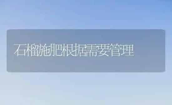 石榴施肥根据需要管理 | 种植肥料施肥