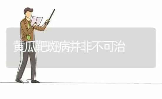 黄瓜靶斑病并非不可治 | 蔬菜种植