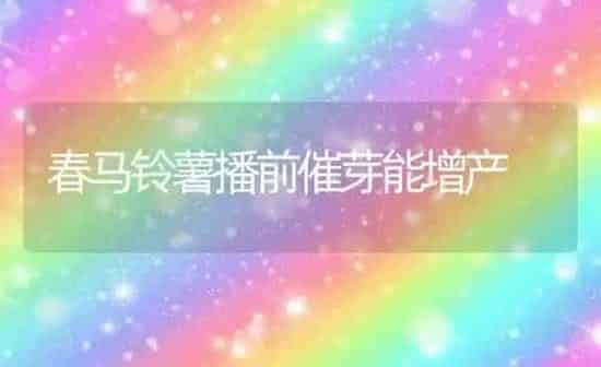 春马铃薯播前催芽能增产 | 粮油作物种植