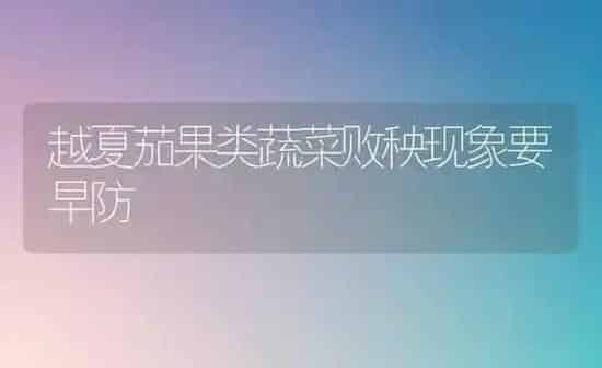越夏茄果类蔬菜败秧现象要早防 | 蔬菜种植