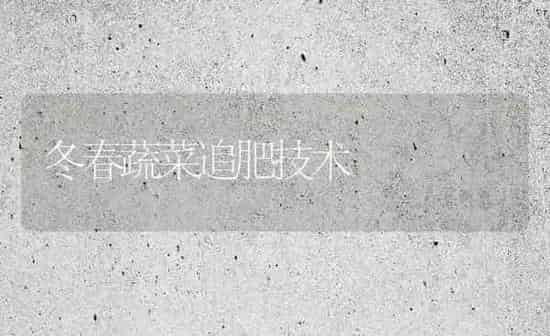 冬春蔬菜追肥技术 | 蔬菜种植