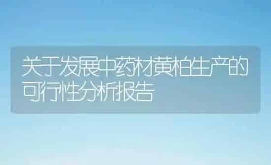 关于发展中药材黄柏生产的可行性分析报告 | 药材种植