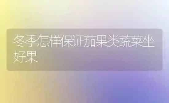 冬季怎样保证茄果类蔬菜坐好果 | 蔬菜种植
