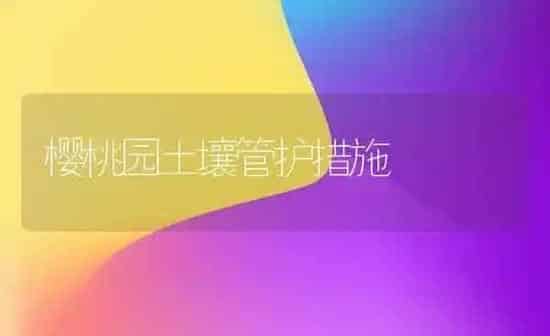 樱桃园土壤管护措施 | 瓜果种植